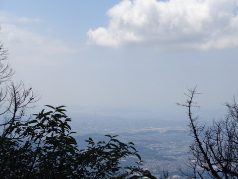 DSC06817