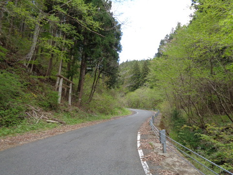 DSC00004