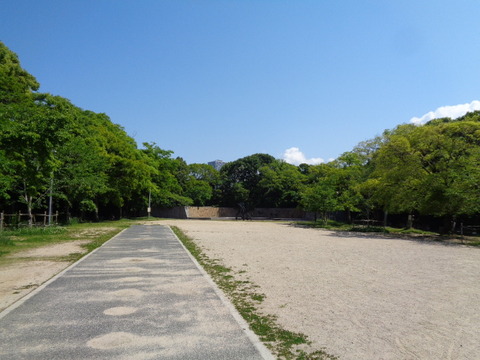 DSC09528