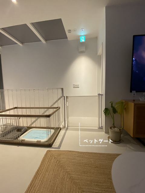 d_250316_awaji46