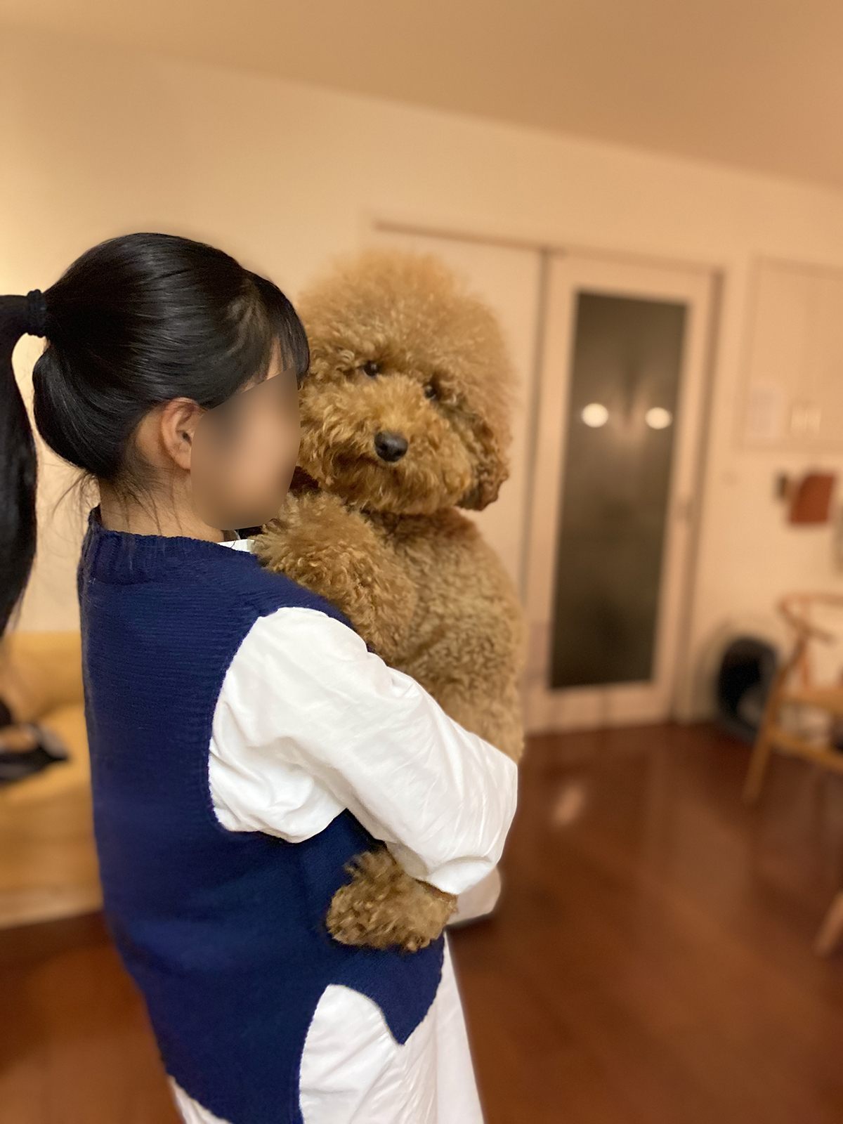 大きなトイプードル 1歳半の体重測定 Aula Powered By ライブドアブログ 大きなトイプードル 1歳半の体重測定 Aula Powered By ライブドアブログ