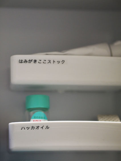 100均マグネットトレーを使った マンションみたいな洗面所の収納 Aula Powered By ライブドアブログ 100均マグネットトレーを使った マンションみたいな洗面所の収納 Aula Powered By ライブドアブログ