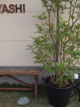d_211116_01