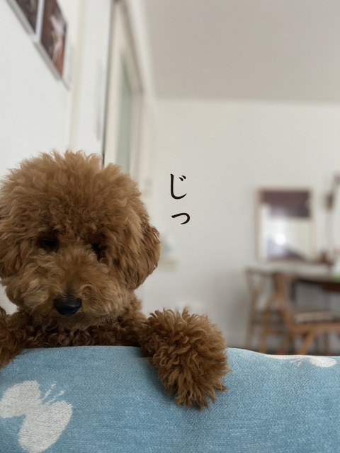 d_191204_03