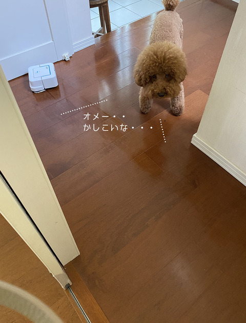 d_210729_10