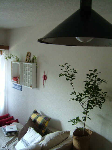 2004_005