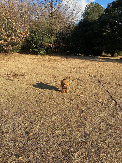 d_210110_05