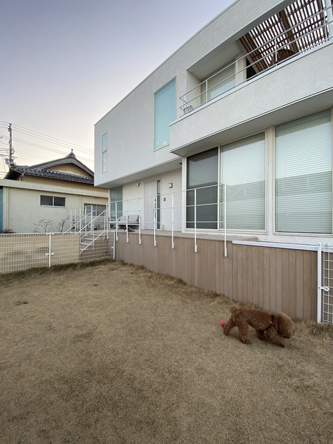 d_250316_awaji42