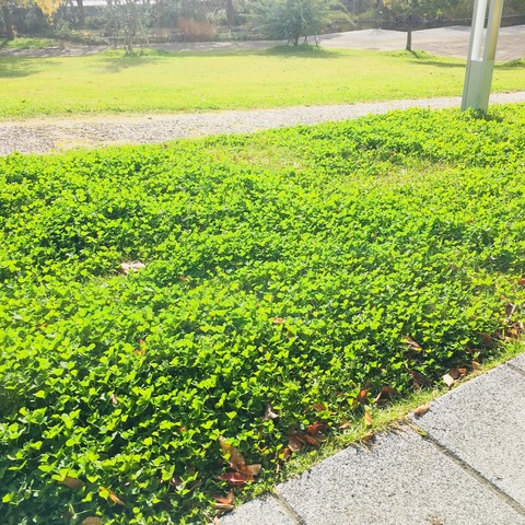 C43CDA9D-DE05-49EE-A097-4E9ABED75BC1