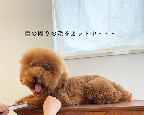 d_210508_01のコピー