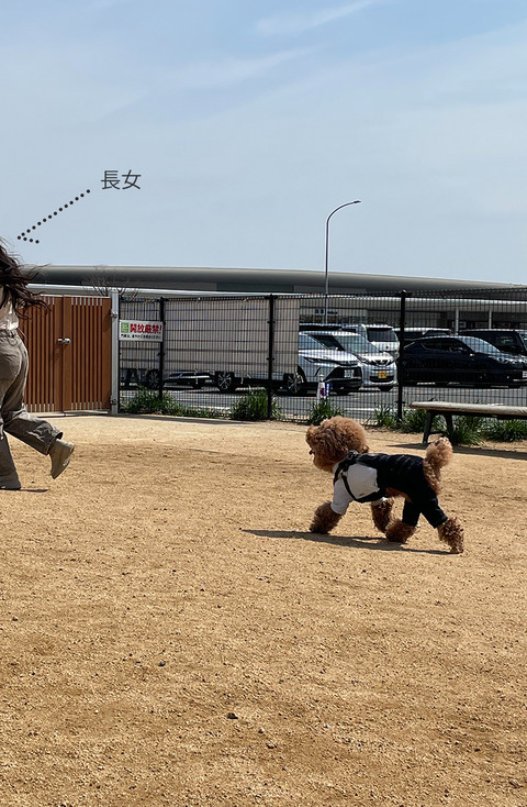 d_250316_awaji03