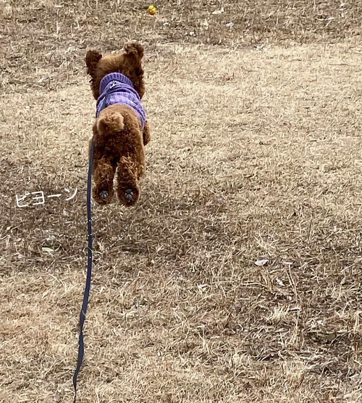 何年も使い続けるハンドクリーム 化粧品はほぼ0円だから と 今日も走りました Aula Powered By ライブドアブログ