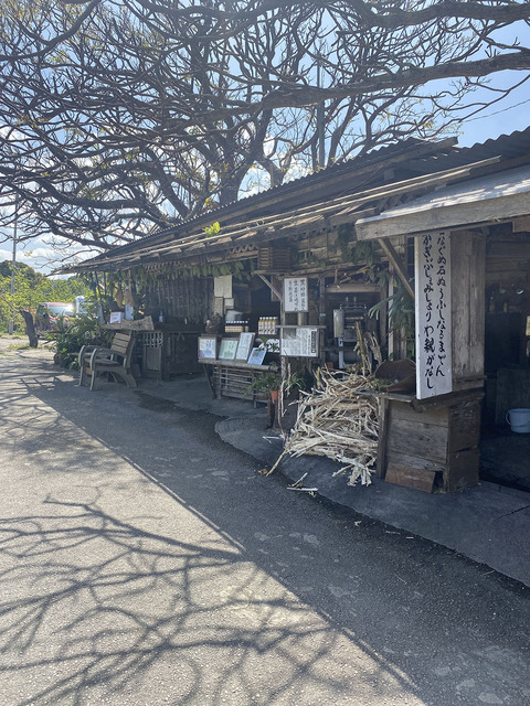 d_230308_20（今帰仁城）