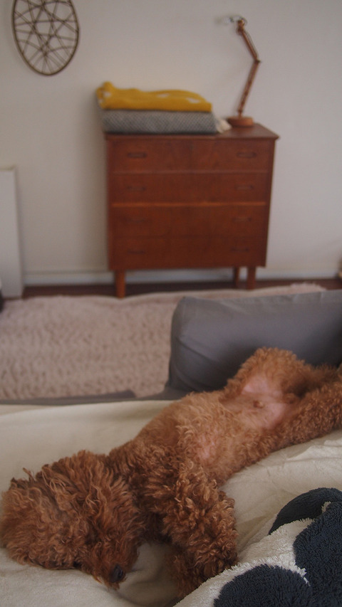 d_240125_07