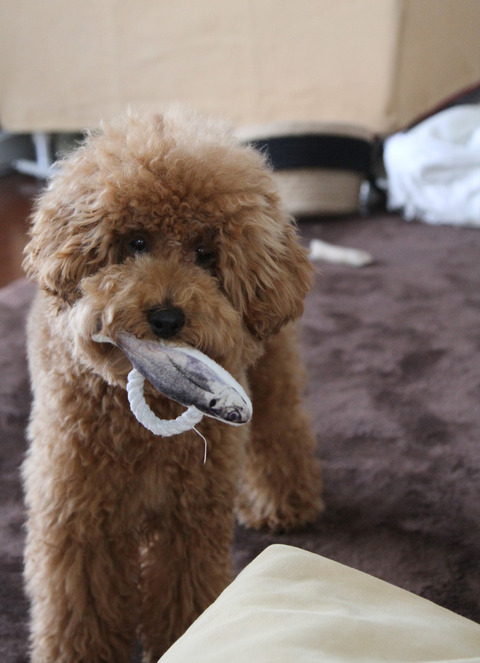 d_191210_13