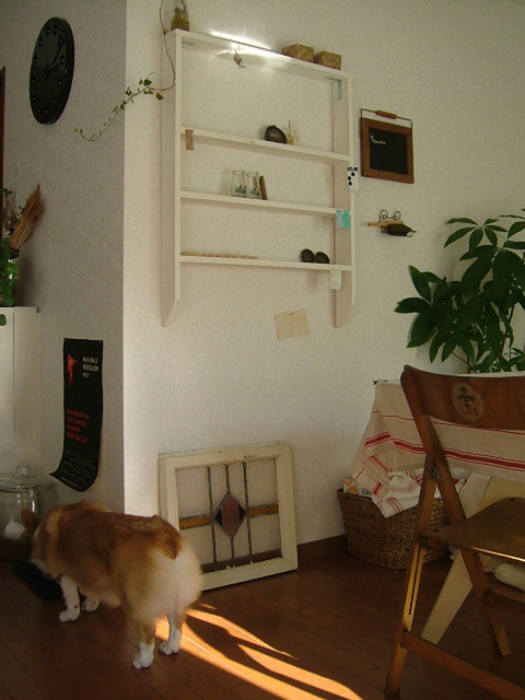 2004_007