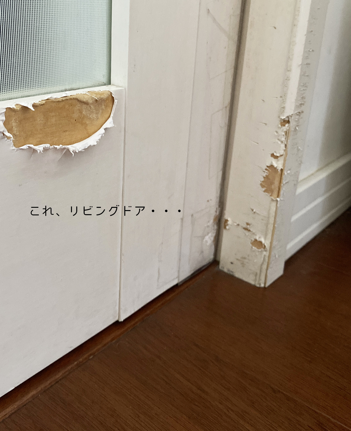 ワンコのいたずら防止対策 電気のコード をカバーする と久しぶりにamazonの置き配 Aula Powered By ライブドアブログ