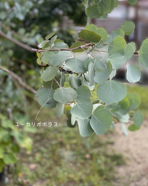 d_210924_01