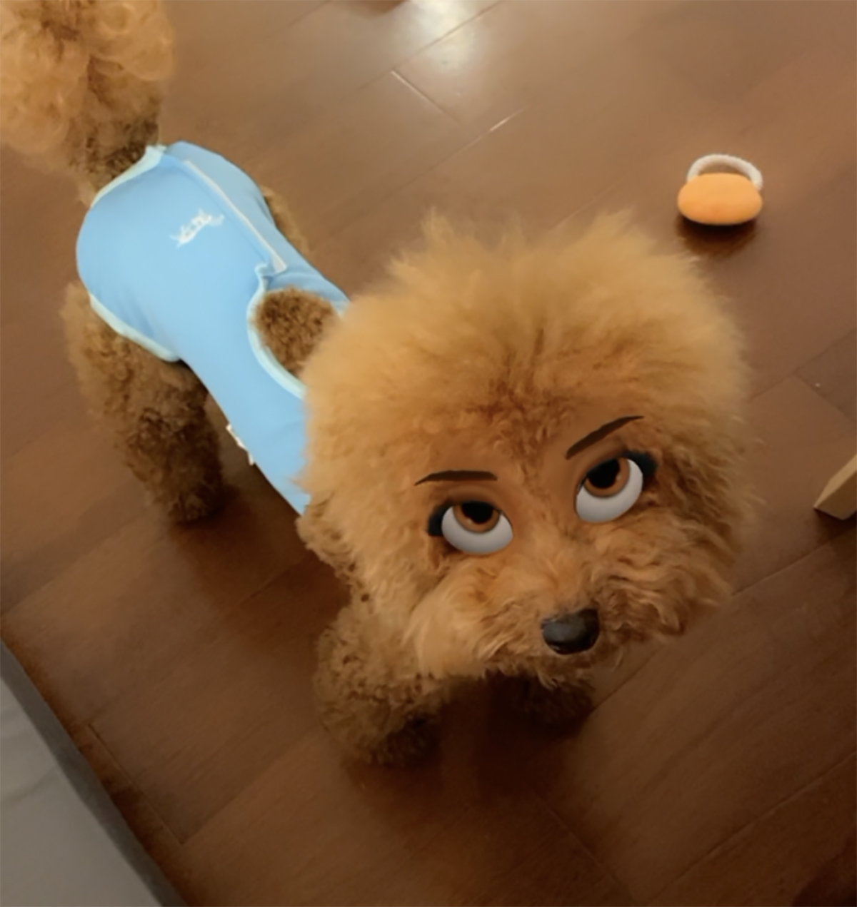 もしも うちのデカプーがディズニーキャラクターになったら Aula Powered By ライブドアブログ もしも うちのデカプーがディズニーキャラクターになったら Aula Powered By ライブドアブログ