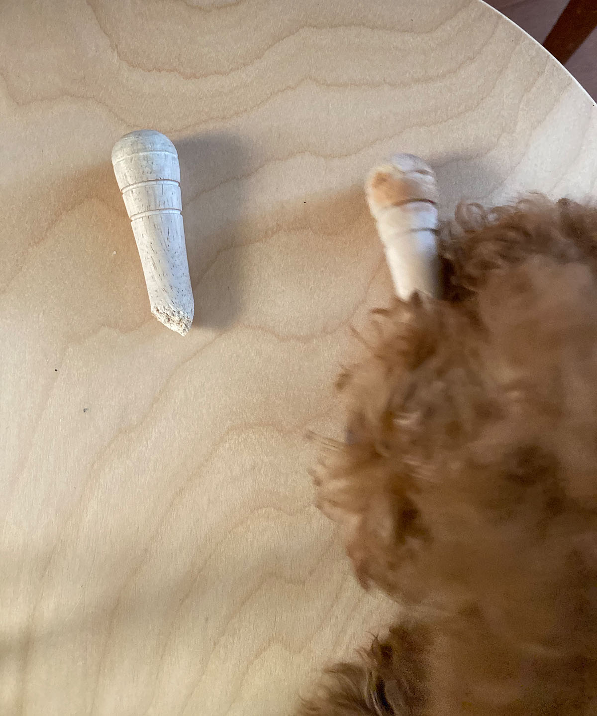 犬さん絶賛甘噛み中 痛いよ Aula Powered By ライブドアブログ 犬さん絶賛甘噛み中 痛いよ Aula Powered By ライブドアブログ