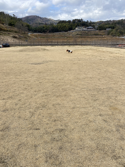 d_230108_13