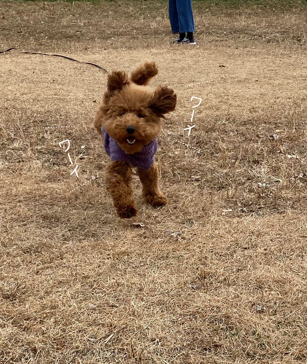 何年も使い続けるハンドクリーム 化粧品はほぼ0円だから と 今日も走りました Aula Powered By ライブドアブログ