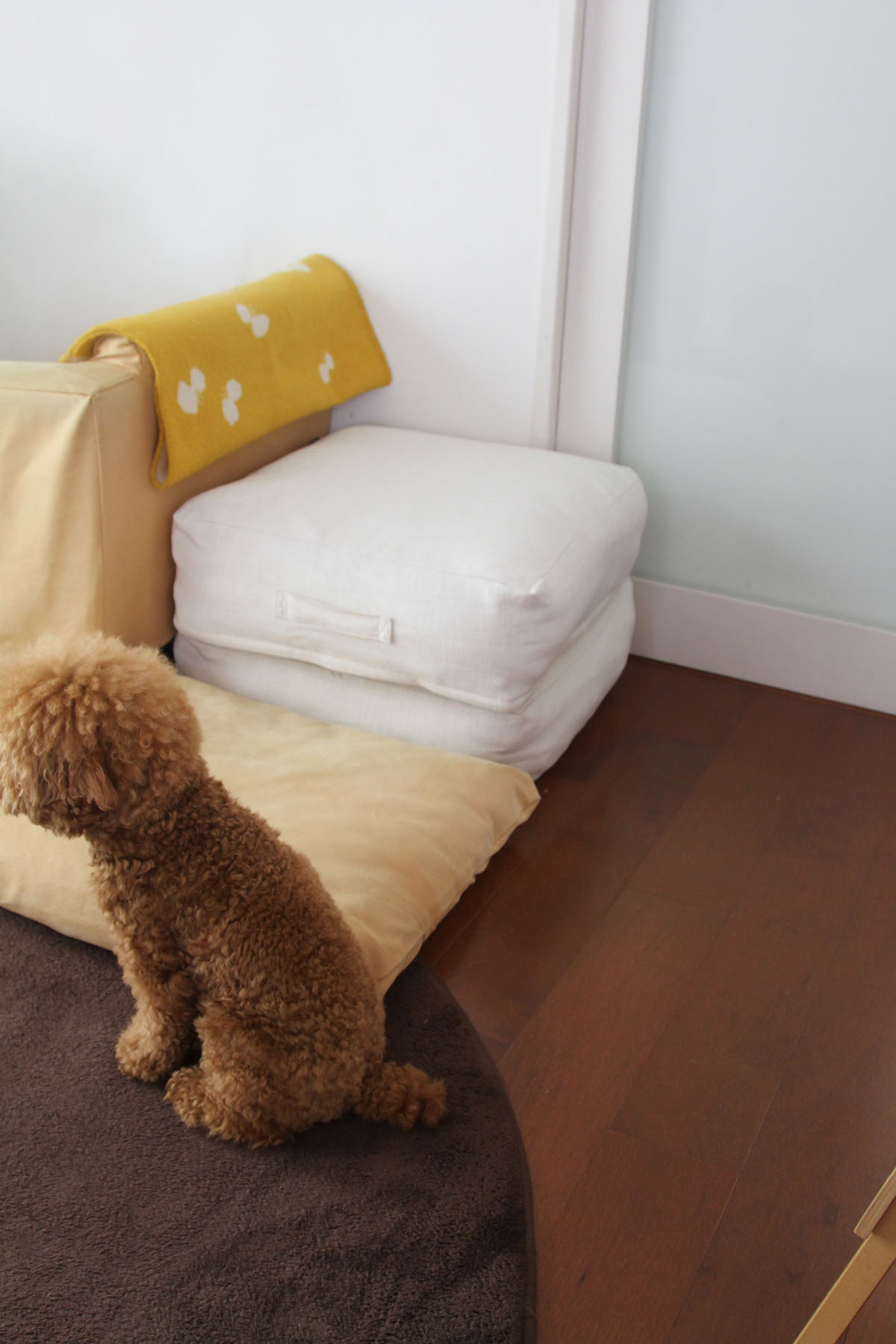 リビングクッションになるかけ布団収納ケースで くつろぎスペースを充実させる Aula Powered By ライブドアブログ