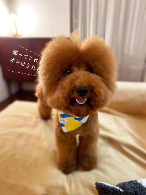 d_210415_06