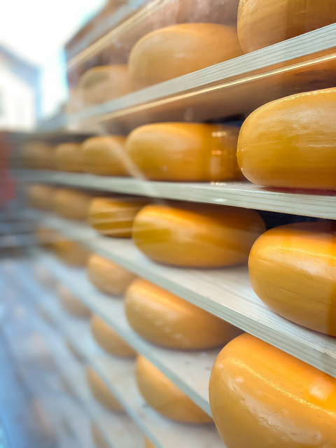 3E0BEC41-EDEC-4E50-9D61-7D319A6FCD70