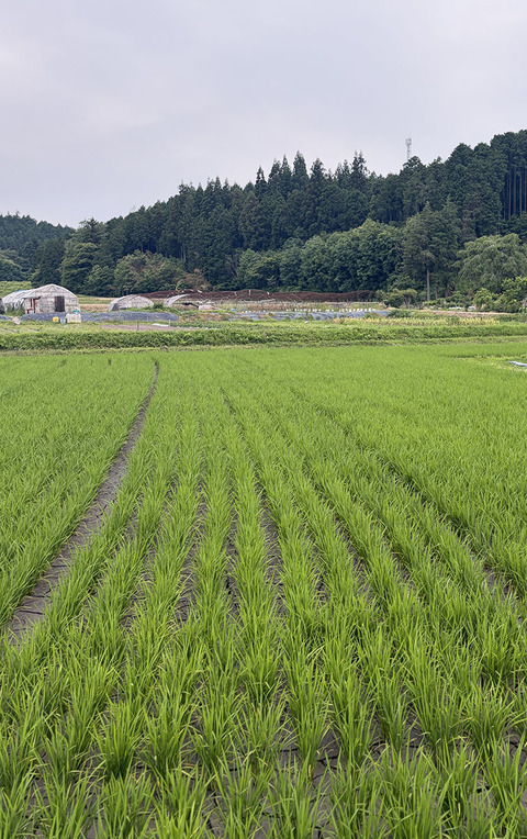 d_260616_04