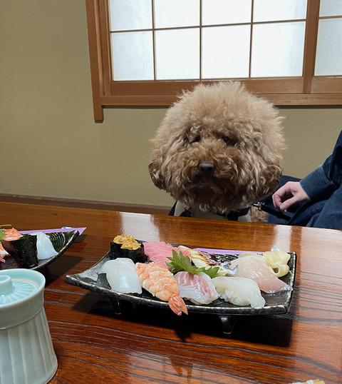 d_250316_awaji47