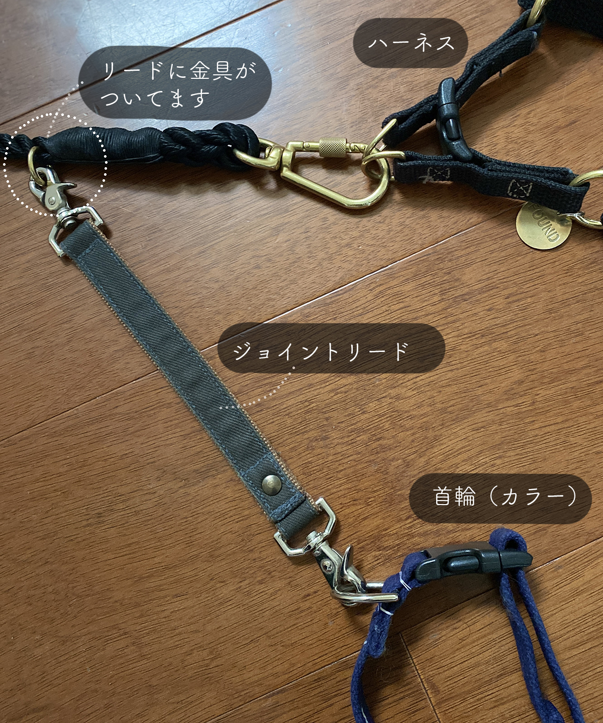 愛犬のリードに首輪とハーネスをこんな風に取り付けてます Aula Powered By ライブドアブログ