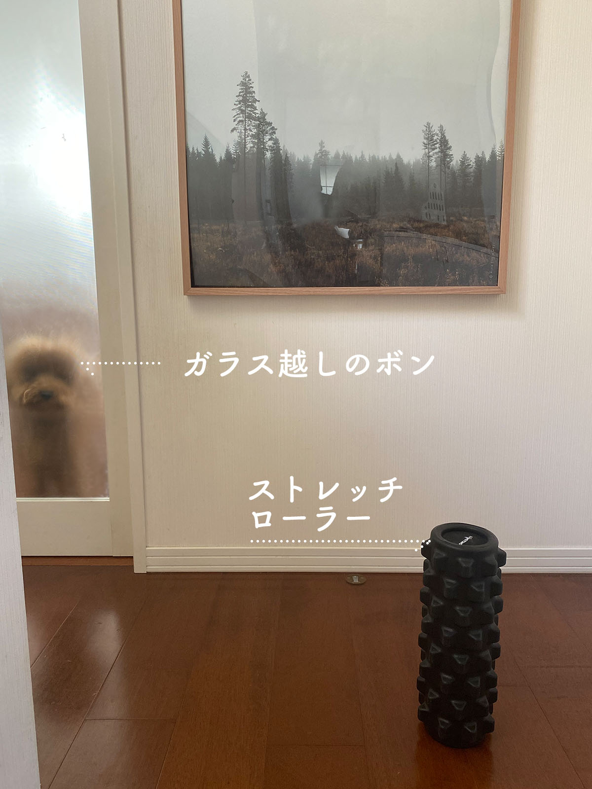 楽天スーパーセールで買ったもの Aula Powered By ライブドアブログ 楽天スーパーセールで買ったもの Aula Powered By ライブドアブログ