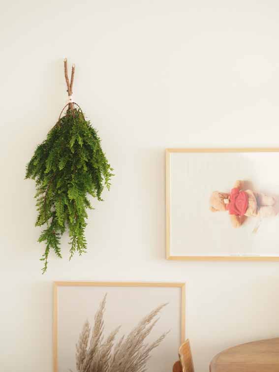 クラスカのオーナメントと生ヒバで壁を飾ったら Aula Powered By ライブドアブログ