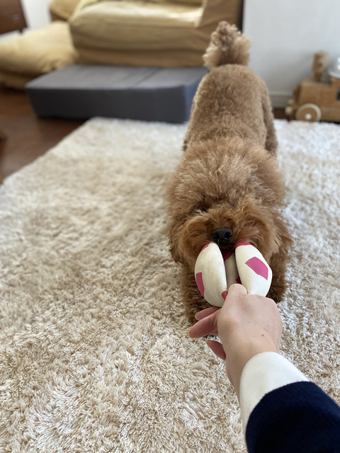 d_220121_36