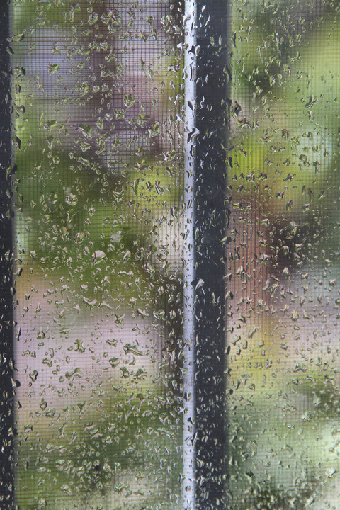 d_211110_06