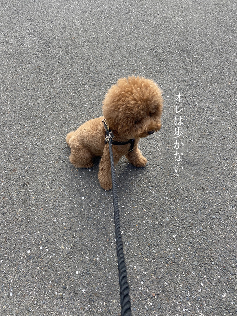 d_221003_09