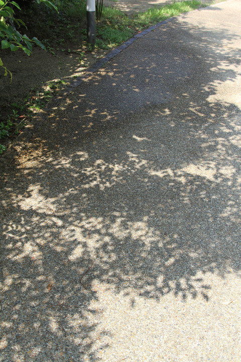 d_200806_10