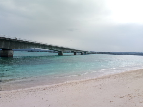 P_20201229_135253