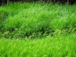 ダウンロード (9)