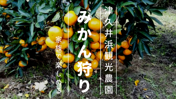 季節ごとに色んな果物狩りが楽しめる津久井浜観光農園でみかん狩りしてきた まろめる 季節ごとに色んな果物狩りが楽しめる津久井浜観光農園でみかん狩りしてきた まろめる