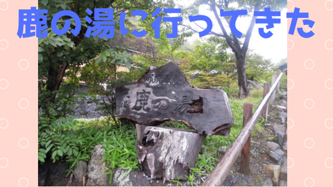 鹿の湯に行ってきた