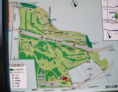 27野川案内図2