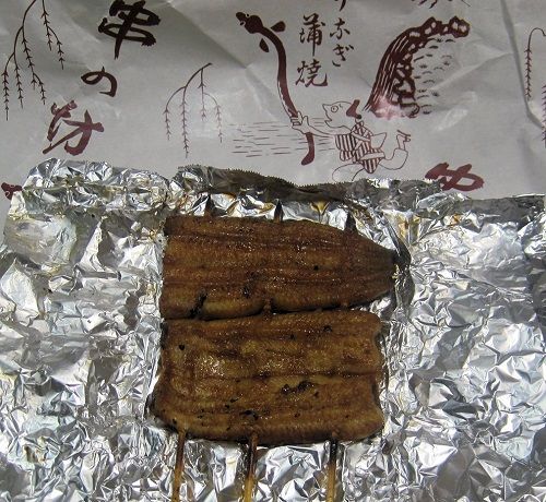 ウナギ
