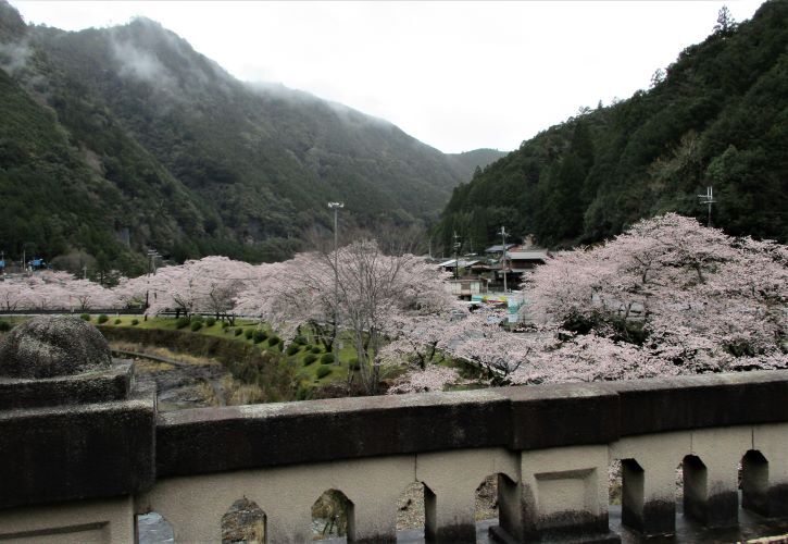 2020.03.31ËÌ»³¯