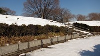 IMG_0197