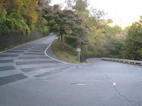IMG_2252