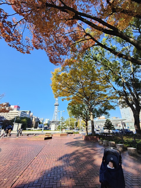 IMG20241202133007