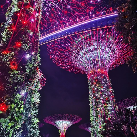 IMG_20190822_223018_125