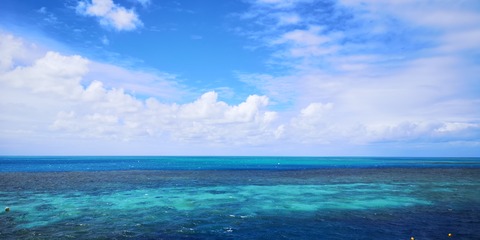 IMG_20210418_112751